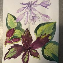 My project for course: Botanical Sketchbooking: A Meditative Approach. Ilustração tradicional, Esboçado, Desenho, Pintura em aquarela, Ilustração botânica, e Sketchbook projeto de carlsoncollins89 - 29.07.2023
