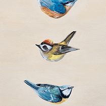 My project for course: Gouache: Paint Natural Worlds from Imagination. Character Design, Painting, Children's Illustration, and Gouache Painting project by Daniela Haubertová - 08.01.2023
