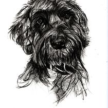 My project for course: Animal Illustration with Charcoal and Ink. Fine Arts, Drawing, Ink Illustration, and Naturalistic Illustration project by Louise Young - 08.03.2023