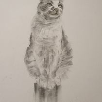 My project for course: Expressive Drawing with Charcoal. Fine Arts, Drawing, Portrait Drawing, and Naturalistic Illustration project by annafaudell - 08.04.2023