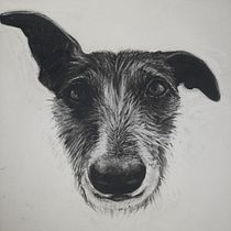 My project for course: Animal Illustration with Charcoal and Ink. Fine Arts, Drawing, Ink Illustration, and Naturalistic Illustration project by Lisa Dunne - 08.04.2023