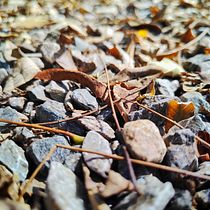 Fotografia de Rua com Celular. Photograph, Social Media, Mobile Photograph, Outdoor Photograph, Documentar, Photograph, Lifest, and le Photograph project by Rafael Caetano - 08.05.2023