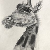 My project for course: Animal Illustration with Charcoal and Ink. Fine Arts, Drawing, Naturalistic Illustration & Ink Illustration project by Natalia Turkiewicz - 08.08.2023