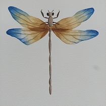 Mi proyecto del curso: Dibujo y composición naturalista en acuarela. Traditional illustration, Drawing, Watercolor Painting, and Naturalistic Illustration project by cucafera5 - 08.06.2023