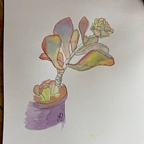 My project for course: Botanical Sketchbooking: A Meditative Approach Ein Projekt aus dem Bereich Traditionelle Illustration, Skizzenentwurf, Zeichnung, Aquarellmalerei, Botanische Illustration und Sketchbook von Lynn Pulfer - 06.08.2023