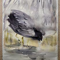 My project for course: Naturalist Watercolor with Expression and Personality. Traditional illustration, Watercolor Painting, and Naturalistic Illustration project by Molli Woodtagger - 08.04.2023