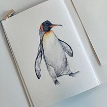 My project for Naturalist Bird  Watercolor Illustration: The King penguin by Julia Viterbo. Ilustração tradicional, Pintura em aquarela, Desenho realista e Ilustração naturalista projeto de Julia Viterbo - 07.08.2023