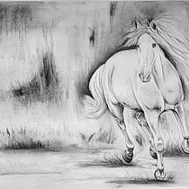 Mi proyecto del curso: Ilustración de animales con carboncillo y tinta. Fine Arts, Drawing, Ink Illustration, and Naturalistic Illustration project by Liliana Medici - 08.07.2023