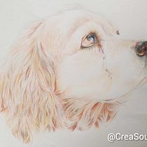 Mi proyecto del curso: Retratos de Mascotas en Lápices de Colores. Traditional illustration, and Naturalistic Illustration project by Betty Reyes - 08.22.2023