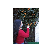 Mi proyecto del curso: Crochet: crea prendas con una sola aguja. Fashion Design, Fiber Arts, DIY, Crochet, and Textile Design project by Marialejandra Suarez Ramirez - 08.09.2023