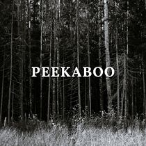 Peekaboo. Un projet de Marketing, Cop, writing, Stor, telling, Marketing de contenu , et Communication de Lucas Louzas - 09.08.2023