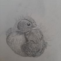 Mijn project van de cursus: Leer realistische dieren tekenen met grafietpotlood. Ilustração tradicional, Desenho a lápis, Desenho e Ilustração naturalista projeto de lauraensing - 10.08.2023