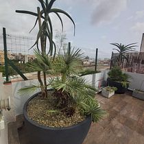 Mi proyecto del curso: Diseño de espacios verdes para tu casa. L, scape Architecture, Floral, Plant Design, and Spatial Design project by jsanchestrella - 08.10.2023