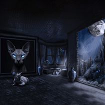 Mi proyecto del curso: Secretos del fotomontaje y el retoque creativo. Photograph, Photograph, Post-production, VFX, Photo Retouching, Fine-Art Photograph, Photographic Composition, and Photomontage project by Adrian Morales Hernández - 08.05.2023