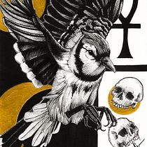 My project for course: Realistic Illustration of Birds with Imaginative Elements. Drawing, Ink Illustration, Painting, Fine Arts, and Artistic Drawing project by novemberdekkers - 08.12.2023