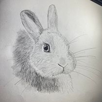 Meu projeto do curso: Desenho naturalista de animais com lápis grafite. Ilustração tradicional, Desenho a lápis, Desenho e Ilustração naturalista projeto de Ana V_ - 12.08.2023
