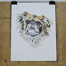 Mi proyecto del curso: Retratos de Mascotas en Lápices de Colores. Traditional illustration, and Naturalistic Illustration project by Jandir Luis Almeyda - 08.15.2023