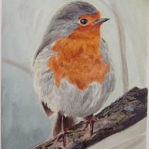 Mi proyecto del curso: Acuarela artística para ilustración de aves. Traditional illustration, Watercolor Painting, Realistic Drawing, and Naturalistic Illustration project by Constanza Monsalve Leyton - 09.15.2023