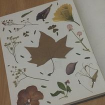 Meu projeto do curso: Técnicas básicas para prensar flores e plantas. Un progetto di Artigianato, Belle arti, Collage, DIY e Design floreale e vegetale di Isabel - 16.08.2023