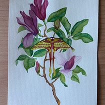 Mijn project van de cursus: Realistisch aquarelleren voor botanische composities. Un projet de Illustration traditionnelle, Peinture, Dessin, Aquarelle et Illustration botanique de evaplevier - 16.08.2023