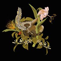 My project for course: Natural Illustration with Digital Painting. Traditional illustration, Drawing, Digital Illustration, Realistic Drawing, Digital Painting, and Naturalistic Illustration project by maja_m - 08.16.2023