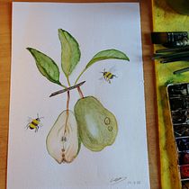 Mi proyecto del curso: Ilustración botánica realista: conecta con la naturaleza. Painting, Watercolor Painting, Botanical Illustration, and Naturalistic Illustration project by Clara Sala - 08.16.2023