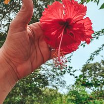 Mi proyecto del curso: Fotografía profesional para Instagram. Photograph, Social Media, Mobile Photograph, Instagram, Instagram Photograph, Lifest, and le Photograph project by chinitaguz_ - 08.13.2023