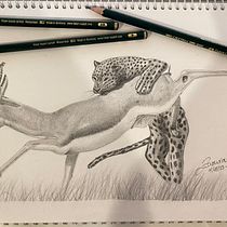Mi proyecto del curso: Dibujo naturalista de animales con grafito. Ilustração tradicional, Desenho a lápis, Desenho e Ilustração naturalista projeto de Juan José Zapata - 17.08.2023