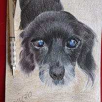 Mi proyecto del curso: Retratos de Mascotas en Lápices de Colores. Traditional illustration, and Naturalistic Illustration project by malagoncarmen5 - 08.17.2023