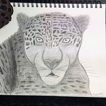 My project for course: Naturalistic Animal Drawing with Graphite Pencil. Ilustração tradicional, Desenho a lápis, Desenho e Ilustração naturalista projeto de Shell D - 13.08.2023