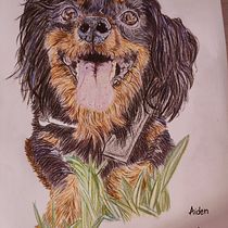 Mi proyecto del curso: Retratos de Mascotas en Lápices de Colores. Traditional illustration, and Naturalistic Illustration project by Marta Yuste - 08.18.2023