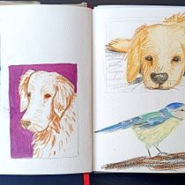 Mein Abschlussprojekt für den Kurs: Skizzenbuch-Übungen für künstlerisches Wachstum. Ilustração tradicional, Artes plásticas, Esboçado, Desenho, e Sketchbook projeto de Katja Bader - 18.08.2023