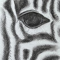 My project for course: Animal Illustration with Charcoal and Ink. Fine Arts, Drawing, Ink Illustration, and Naturalistic Illustration project by Ira - 08.16.2023