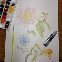 Flores <3. Un projet de Illustration traditionnelle, Peinture, Dessin, Aquarelle et Illustration botanique de Belén Moreno - 20.08.2023