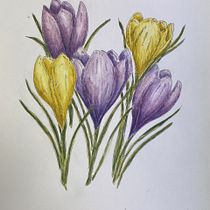 My project for course: Illustrating Nature with Watercolor and Pen. Traditional illustration, Fine Arts, Painting, Drawing, Watercolor Painting, and Botanical Illustration project by Nancy Elmore - 08.20.2023