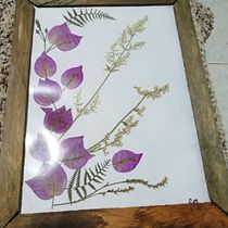 Mi proyecto del curso: Técnicas básicas de prensado botánico. Un progetto di Artigianato, Belle arti, Collage, DIY e Design floreale e vegetale di soyromerosolo - 20.08.2023