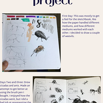 My project for course: Daily Sketching for Creative Inspiration. Traditional illustration, Sketching, Creativit, Drawing, and Sketchbook project by pivotal_pop - 08.21.2023
