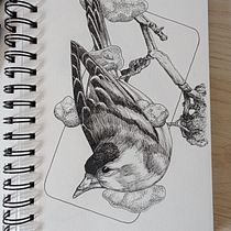 Mon projet du cours : Illustration réaliste d'oiseaux avec des éléments imaginatifs. Pencil Drawing, Drawing, Ink Illustration, and Naturalistic Illustration project by Kevin Candusso - 08.18.2023