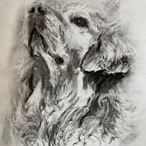 My project for course: Animal Illustration with Charcoal and Ink. Fine Arts, Drawing, Ink Illustration, and Naturalistic Illustration project by Stevie Shoop-Worrall - 04.21.2023