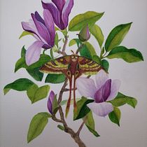 Mi proyecto del curso: Ilustración naturalista con gouache y acuarela. Fine Arts, Painting, Watercolor Painting, Botanical Illustration, Naturalistic Illustration, and Gouache Painting project by Nuria Ogalla - 08.21.2023