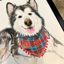 Mi proyecto del curso: Retratos de Mascotas en Lápices de Colores. Traditional illustration, and Naturalistic Illustration project by 4wxwgbkqht - 08.21.2023