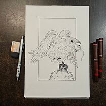 My project for course: Realistic Illustration of Birds with Imaginative Elements. Pencil Drawing, Drawing, Ink Illustration, and Naturalistic Illustration project by Pether Sand - 08.21.2023