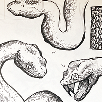 My project for course: Daily Sketching for Creative Inspiration. Traditional illustration, Sketching, Creativit, Drawing, and Sketchbook project by Amadeo Treviño Ribó - 08.17.2023