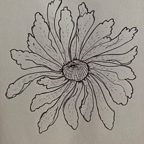Il mio progetto del corso: Illustrazione su sketchbook con penna: sbaglia con stile. Sketching, Drawing, Sketchbook & Ink Illustration project by lucia.palomba - 12.12.2023