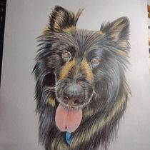 Mi proyecto del curso: Retratos de Mascotas en Lápices de Colores. Traditional illustration, and Naturalistic Illustration project by mariafernanda061620 - 08.20.2023