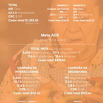 Mi proyecto del curso: Google, Facebook e Instagram Ads para optimizar tus resultados. Marketing, Social Media, Digital Marketing, Instagram Marketing, and Growth Marketing project by Julio Emmanuel Márquez Cueto - 08.23.2023