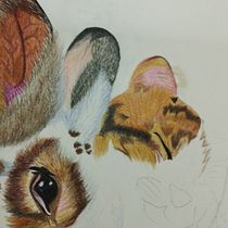 Mi proyecto del curso: Retratos de Mascotas en Lápices de Colores. Traditional illustration, and Naturalistic Illustration project by Sarahi Lopez - 08.21.2023