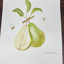 Meu projeto do curso: Ilustração botânica realista: entre em contato com a natureza. Painting, Watercolor Painting, Botanical Illustration, and Naturalistic Illustration project by Amanda Marques - 08.24.2023
