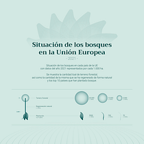 Situación de los bosques en la Unión Europea con datos del 2021. Un progetto di Infografica, Graphic design e Design dell’informazione di mividaconbigote - 24.08.2023
