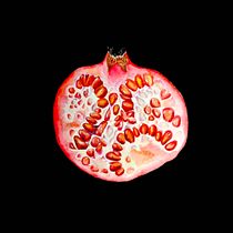Mijn project van de cursus: Illustreer kunst en wetenschap met botanische aquarel. Un progetto di Illustrazione tradizionale, Belle arti, Pittura, Disegno, Pittura ad acquerello e Illustrazione botanica di Anita van de Klashorst - 25.08.2023